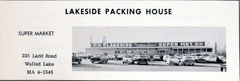 All Star Lanes - 1961 Walled Lake High School Yearbook Lakeside Supermarket (newer photo)